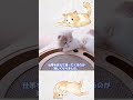 【にゃん日記】ep3 お気に入りのおもちゃ :The Cutest Moments of Cat Parenthood #shorts #猫のいる暮らし #子猫 #catvideos