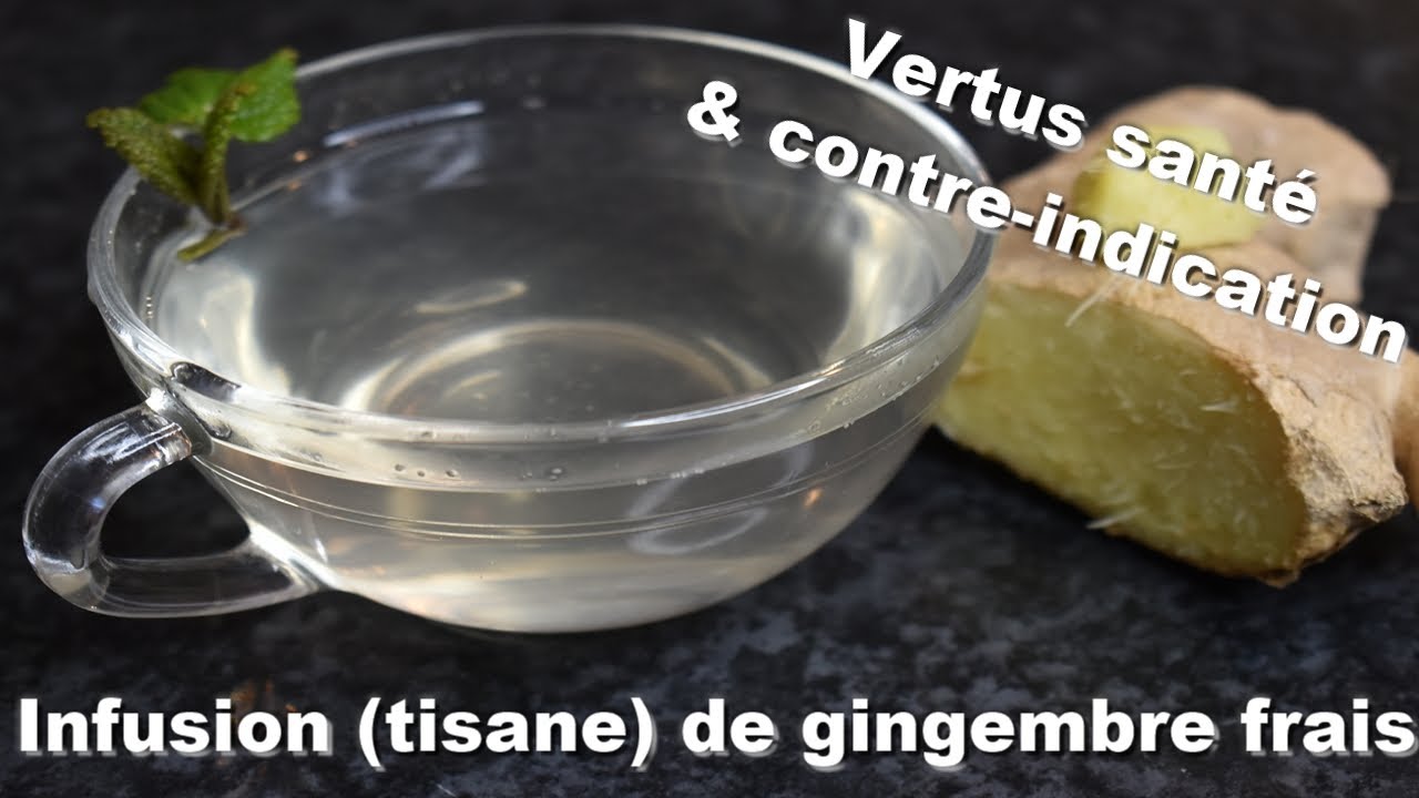 Tisane et Infusion de Gingembre : Vertus Santé et Contre-Indications ...