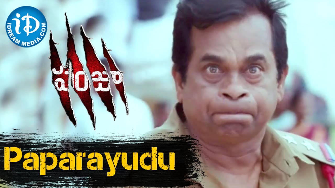sarah jane dias panjaa movie panjaa movie paparayudu video song pawan kalyan sarah sarah jane dias panjaa movie panjaa movie paparayudu video song pawan kalyan sarah
