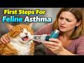 How to Help Your Cat During an Asthma Attack 🐱