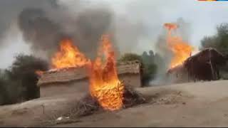 Lakhi Aslive - Sindh TV News screenshot 5