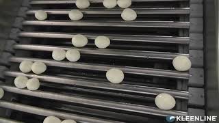 System Spotlight - Egg Wash Conveyor