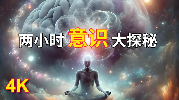 2-Hour Exploration into Consciousness【兩小時意識大探秘】意識究竟是什麼？意識的根源、機理與作用（4K高清） - 天天要聞