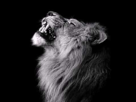 تامر عاشور باينو ضاع اجمل احساس