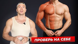 Вот почему мышцы не растут: никто не учит СОСТАВЛЯТЬ программу тренировок правильно