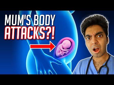 Mother's Body ATTACKS Baby?! Doctor Explains #shorts