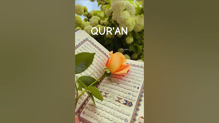 Qur'an Urdu translation 🌸 //. #motivation#quran#urdu#shorts#ytshorts#quranictranslation#islam#allah
