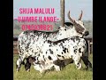 SHIJA MALULU UJUMBE WA BHAYANDA BY MALAKI STUDIO OFFICEAL AUDIO 2026