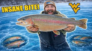 West Virginia Ice Fishing Was INSANE… Giant Trout Everywhere!