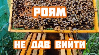 ✅Мій спосіб боротьби з ройовим станом