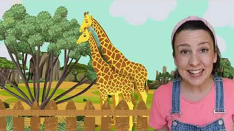 Learn Animals with Ms Rachel for Toddlers   Animal Sounds, Farm Animals, Nursery Rhymes & Kids Songs