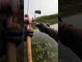 flow mình để xem nhiều video hay nhé #cauca #fishing
