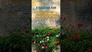 Download Lagu 4 Ayat Alkitab Tentang Pengampunan Dosa (Matius 6:14-15, 1Yohanes 1:9, 2Tawarikh 7:14, Yesaya 1:18) MP3