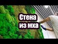 КАК СДЕЛАТЬ ЗЕЛЕНУЮ СТЕНУ ИЗ МХА