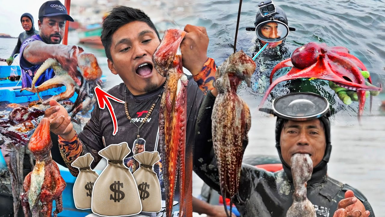 Así es el SACRIFICIO de un BUZO MARINO en el FONDO del OCÉANO -  Extracción de PULPOS y MARISCOS