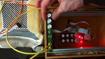 ST Modular - DIZ (Distortion, Noise, Delay, Signal Distroyer)