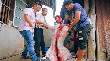 TẾT HÀ NHÌ (T4) CẢ BẢN MÉ GIÓNG MỔ 130 CON LỢN VÀ TỤC XEM GAN ĐỘC ĐÁO TRONG NGÀY MÙNG 1 TẾT HÀ NHÌ