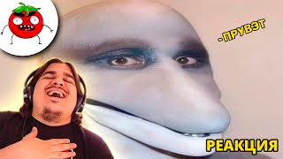 видео: ▷ ЗАСМЕЯЛСЯ ПОДПИСАЛСЯ | ТЕСТ НА ПСИХИКУ ЧЕЛЕНДЖ | НОВЫЕ ПРИКОЛЫ 2025 | РЕАКЦИЯ картинка: ▷ ЗАСМЕЯЛСЯ ПОДПИСАЛСЯ | ТЕСТ НА ПСИХИКУ ЧЕЛЕНДЖ | НОВЫЕ ПРИКОЛЫ 2025 | РЕАКЦИЯ