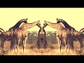 Bloem - Safari Sun (original mix) [Lump Records]