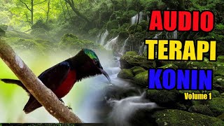 Audio Terapi Konin Vol.1