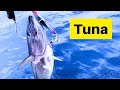 The Unspoken Sorrow of Bluefin Tuna Fishing