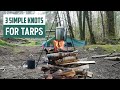 Wagyu beef stew  tarpology knots  wildcamping survival bushcraft wildcampingireland