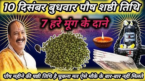 10 दिसंबर पौष बुधवार षष्ठी तिथि के दिन 7 हरे मूंग के दाने वाला उपाय जरुर करे | Pradeep Ji Mishra 🙏