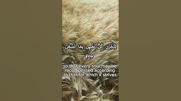 ❤❤تلاوة خاشعة من سورة طه للقارئ ياسر الدوسري❤❤