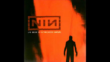 Nine Inch Nails - Wish