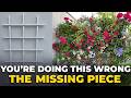 Your Rose Trellis Is Missing This One Simple Thing