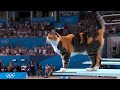 Cat's swim | kids cartoon video| cartoon video| cat cartoon video | @hemantmarapekar2507