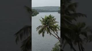 Goa Part 1 #itsprachi #goa #dailyvlog