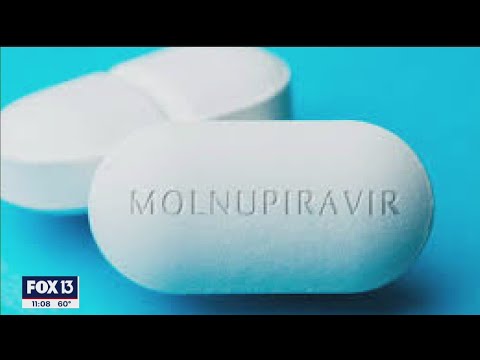 Anti-viral pill molnupiravir shows promise against COVID, other viruses