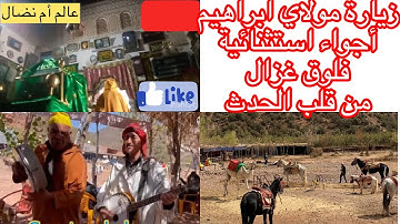 موسم مولاي ابراهيم اجواء استثنائية/زيارة المنتجع السياحي الرحى/مجموعة طيور الجبال/اقليم الحوز مراكش