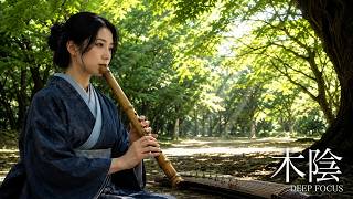 Where the Summer Light Grows Soft — Japanese Zen Flute & Koto | Deep Focus 【木陰 -kokage-】 screenshot 5