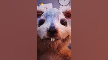 Kal has fun 🐿 #squirrel #egofilm