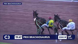 Vidéo de la course PMU PRIX BRACHIOSAURUS