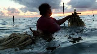 Sound of X / Tonga: Ha’apai Moana by Vea Mafile’o & Brandon Haru