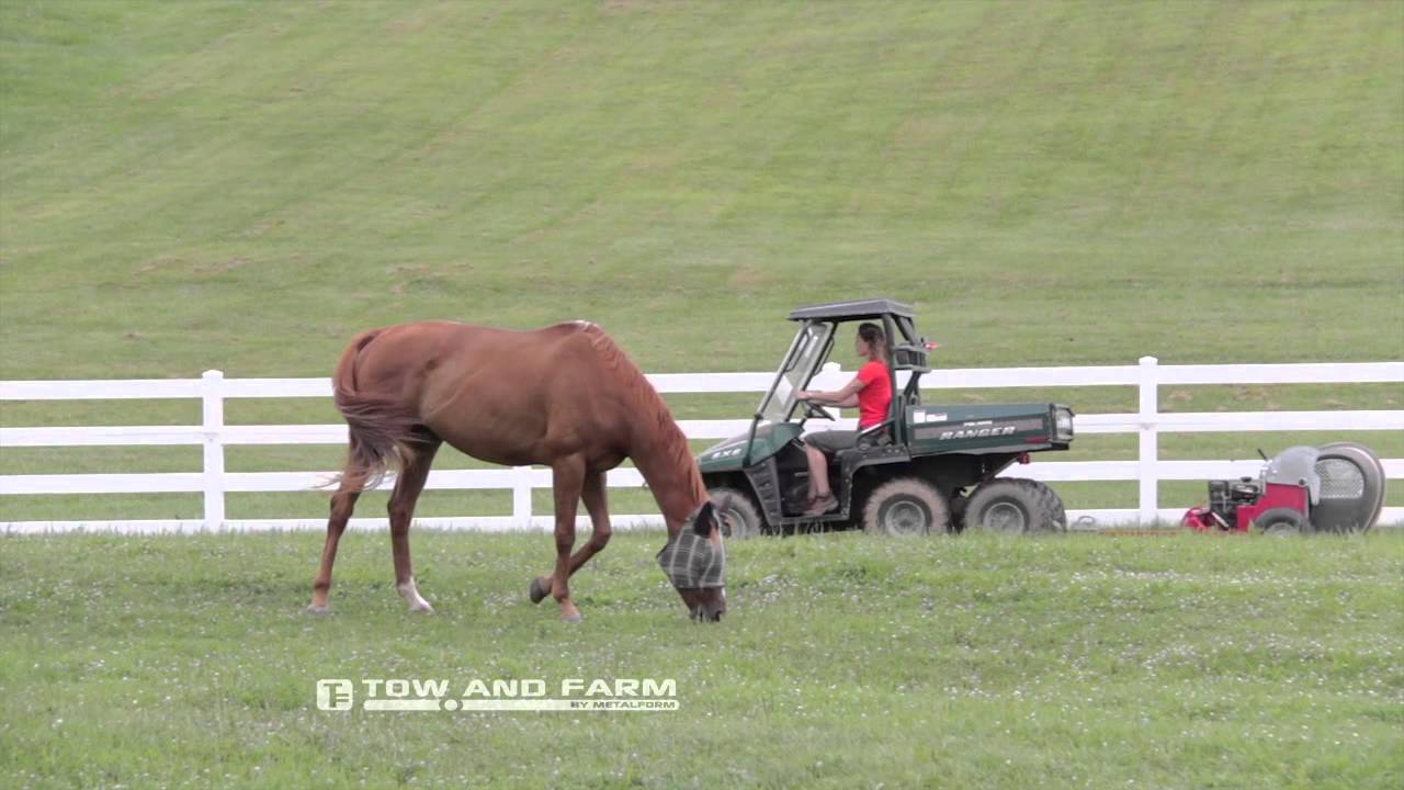 My Tow and Collect poop sweeper is better than jewellery Testimonial