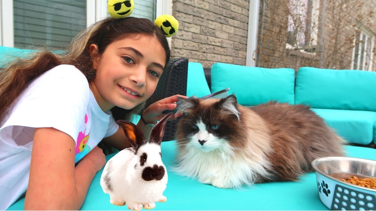 Хайди рассказывает о важности заботиться о домашнем питомце - YouTube