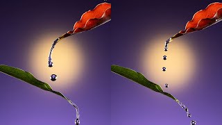 This Leaf Trick Creates Unbelievable Water Droplet Photos