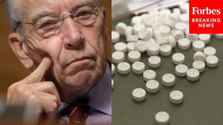 Chuck Grassley Questions Witness About Accidental Overdoses Driven By Mental Health Issues