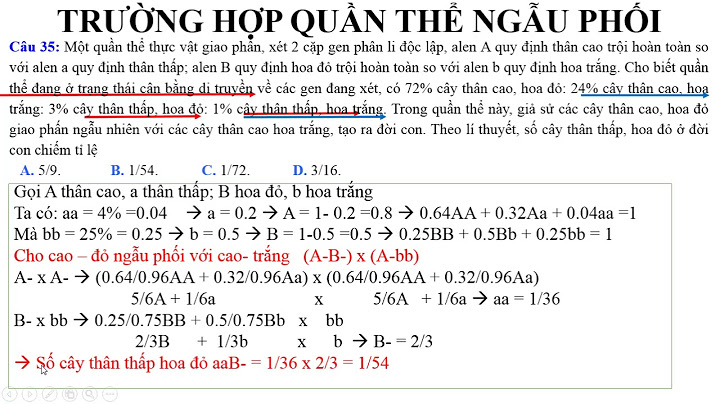 Các dạng bài tập di truyền quần thể 2 gen năm 2024