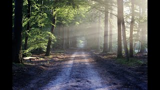 3 hours of best relaxing music, Beautiful relaxing music, Powerful Soothing music, Relaxing music...
