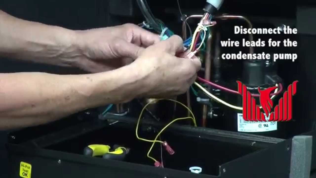 Phoenix R250 Removing the Condensate Pump and Level Switch YouTube
