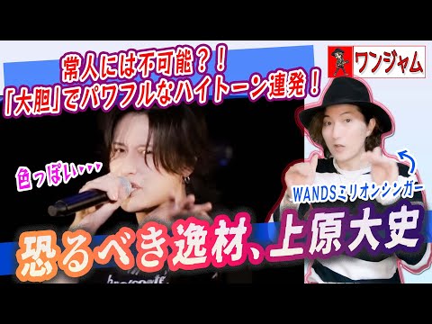 WANDS LIVE PHOTO BOOK 上原大史 WANDSグッズ通信販売のお知らせ】 「WANDS Live Tour 2022
