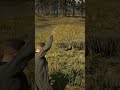 Mastering Survival Skill in Red Dead Redemption 2 #rdr2 #survivaltips #gamingshorts #gaming #shorts