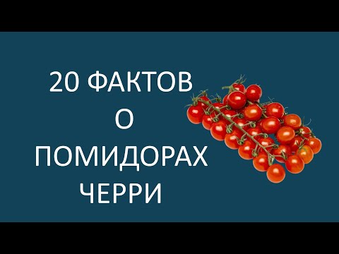 Помидоры черри маленькие, но очень полезные. 20 фактов, которые вас удивят