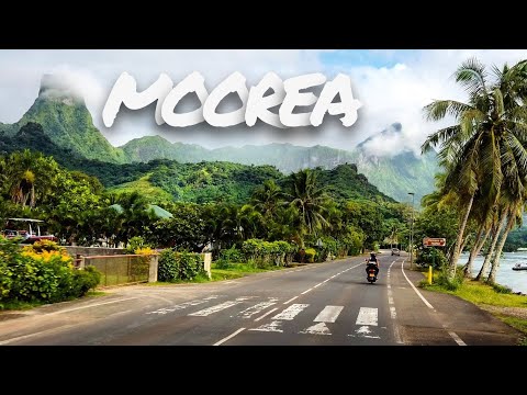 Video: De Beste Tingene å Gjøre I Moorea, Tahiti, I Fransk Polynesia