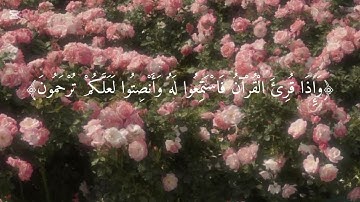 سورة المؤمنون القارئ إدريس أبكر، بدون إعلانات